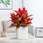 Self-Watering Nordic Style Square Flower Pot
