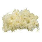 Simulated Micro-Landscape Mini Tree – Silk & Sponge