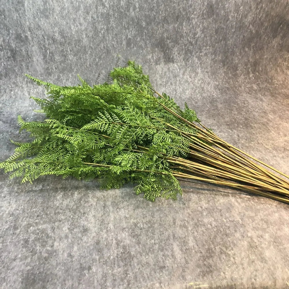 Artificial Fern Plant Branch Outdoor Exhibition Decoration