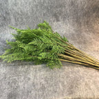 Artificial Fern Plant Branch Outdoor Exhibition Decoration