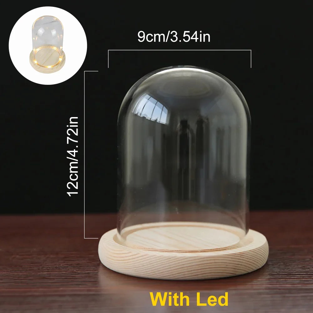 Modern Glass Display Dome with LED Wooden Base – Decorative Vase