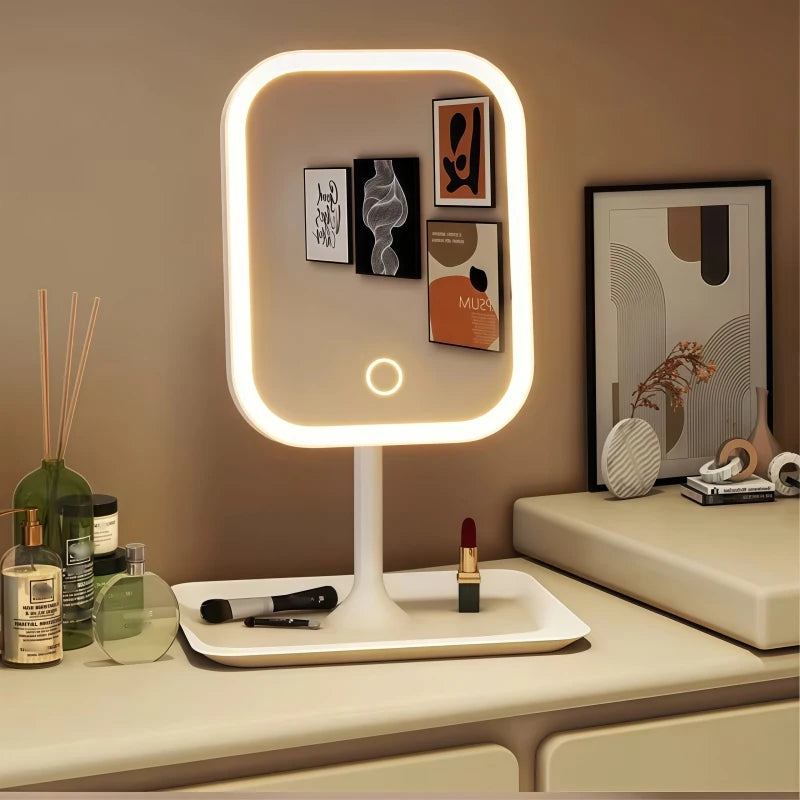 Niche Modern LED Makeup Mirror with Touch Control and Three Light Colors