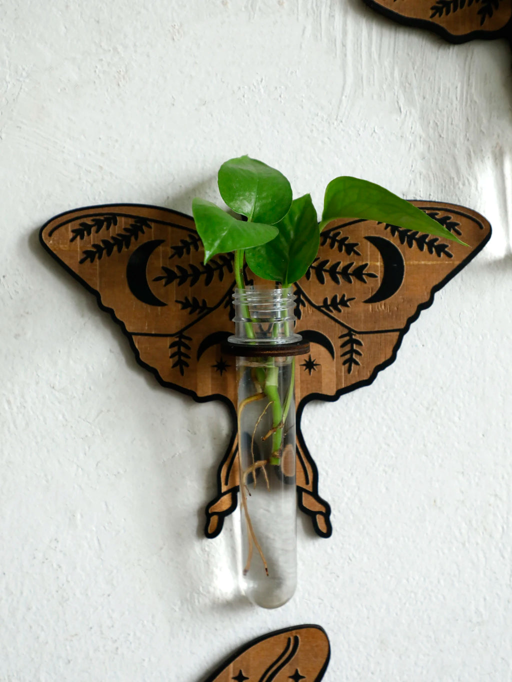 Wooden Butterfly Wall-Mounted Hydroponic Planter