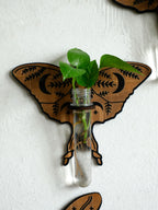 Wooden Butterfly Wall-Mounted Hydroponic Planter