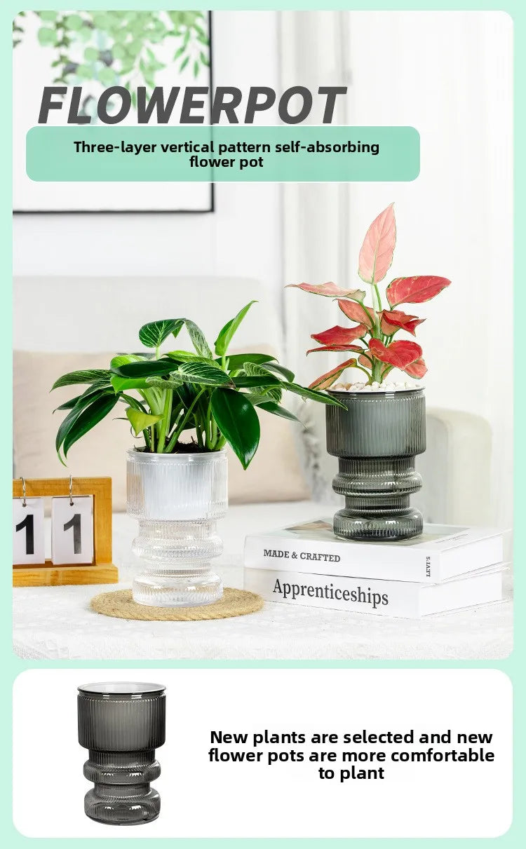 Self-Watering Transparent Plastic Succulent Pot