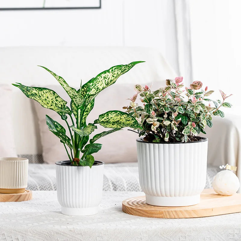 Self-Watering Resin Succulent Planter Pot