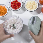 Manual Garlic Press & Vegetable Chopper – Stainless Steel & Plastic