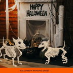 Little Wolf Skeleton Halloween Ornament Indoor & Outdoor Home Decoration