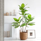 77–135cm Artificial Fiddle Leaf Ficus Fig Tree