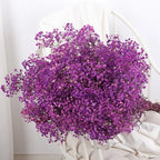 Flower Dried Pampas Grass Bouquet Indoor Home & Event Decor