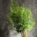 Artificial Fern Plant Branch Outdoor Exhibition Decoration
