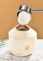 Coconut Opener Tool Set – Stainless Steel Coconut Cutter & Rubber Hammer, Safe & Easy to Use