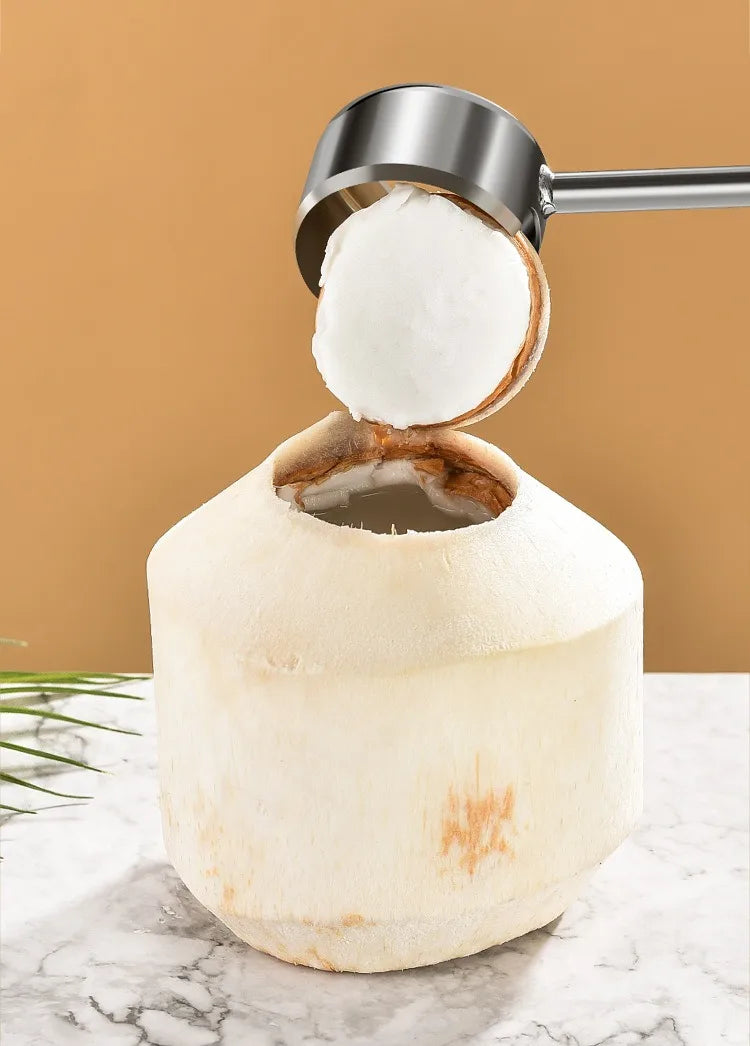 Coconut Opener Tool Set – Stainless Steel Coconut Cutter & Rubber Hammer, Safe & Easy to Use
