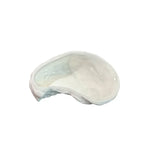 ZIZI FISH Round Ceramic Plate – Durable Solid Tableware for Home & Kitchen