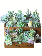 Artificial Grass Plant Desktop Outdoor Decoration for Bridal Shower