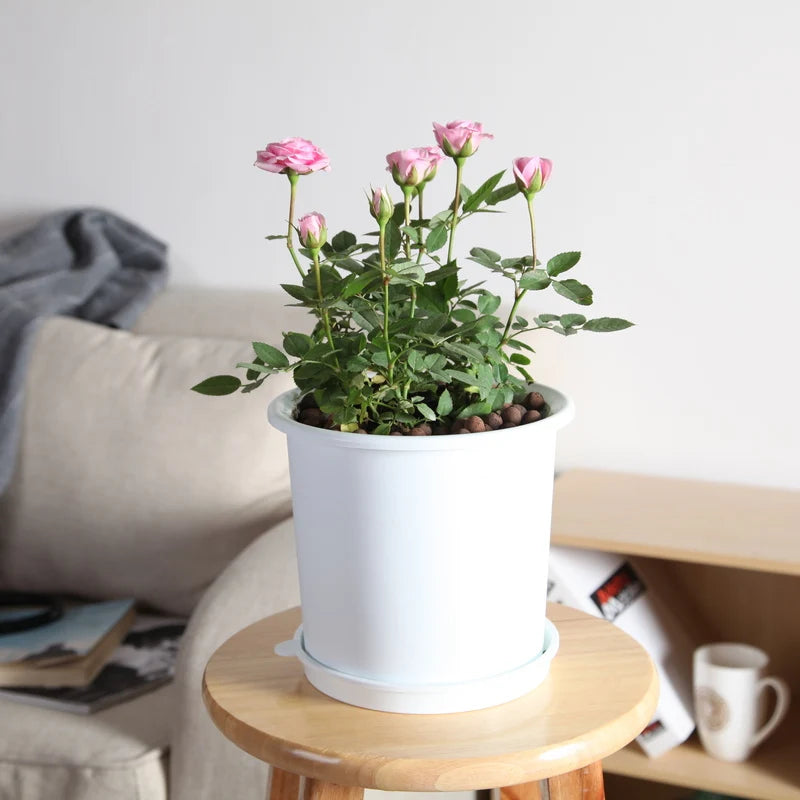 Double Layer Mesh Orchid Pot with Drainage Holes