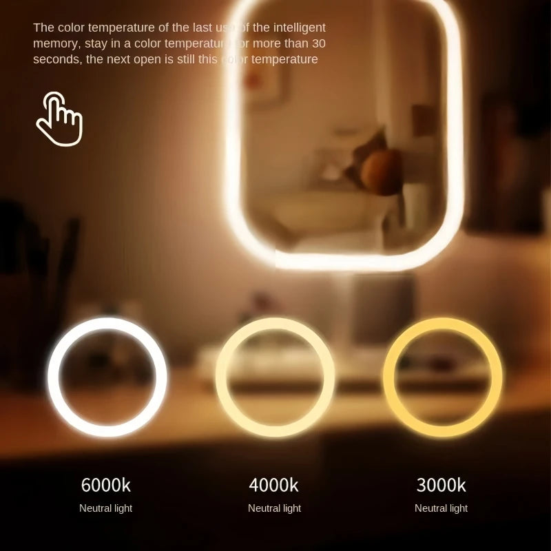 Niche Modern LED Makeup Mirror with Touch Control and Three Light Colors