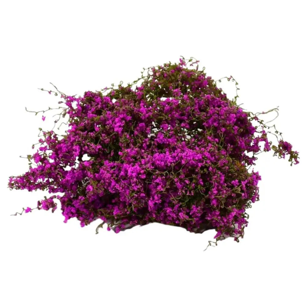Simulated Micro-Landscape Mini Tree – Silk & Sponge