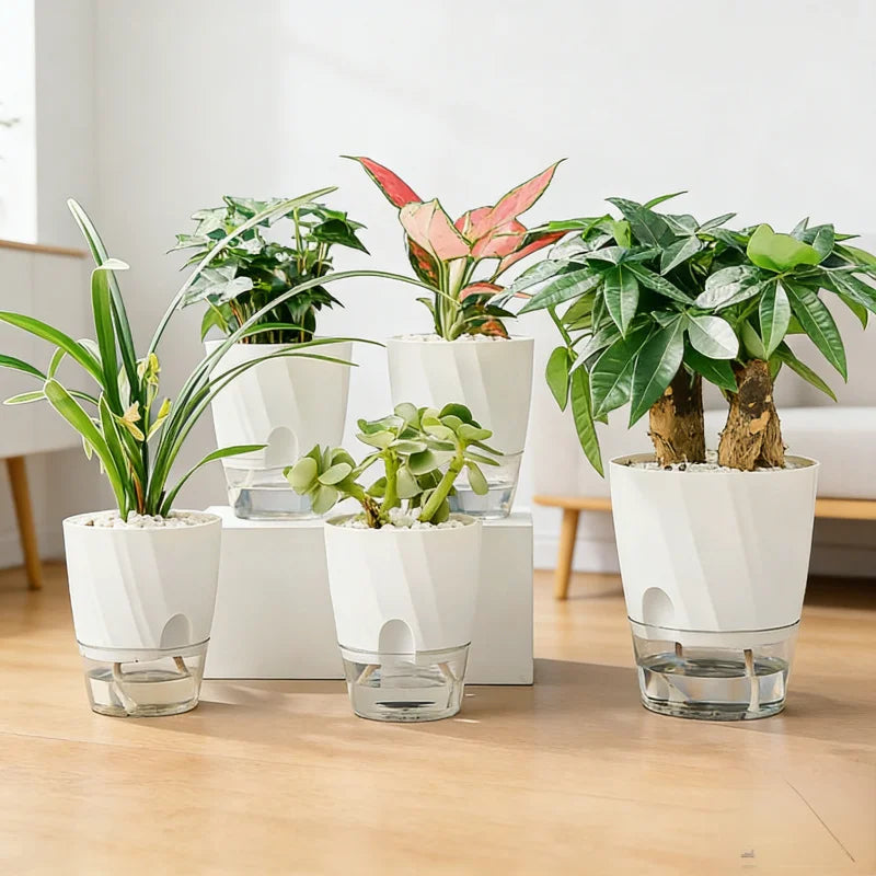 Transparent Self-Watering Hydroponic Plant Pot