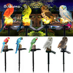 Solar LED Lawn Light 5m IP55 Waterproof Warm White Outdoor Decor