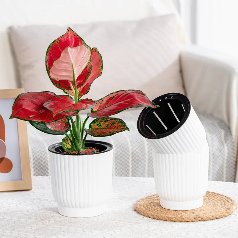 Self-Watering Resin Succulent Planter Pot