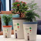 Double Layer Self-Watering Hydroponic Flower Pot