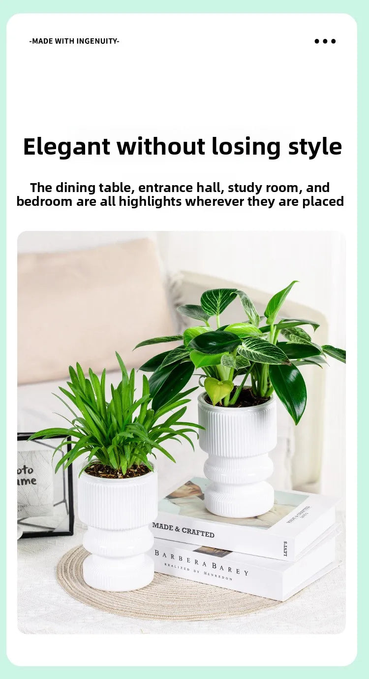 Self-Watering Transparent Plastic Succulent Pot