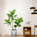 77–135cm Artificial Fiddle Leaf Ficus Fig Tree